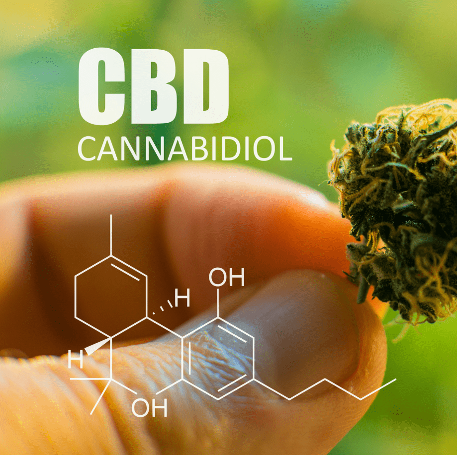 cbd