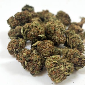 CBD SmallBud Tropical Haze