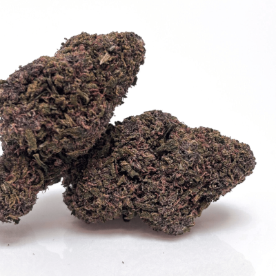 Design sans titre (5)