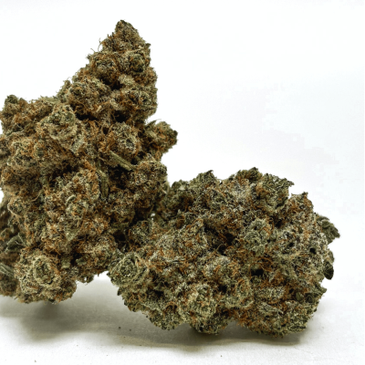 Design sans titre (74)