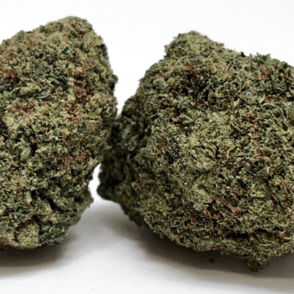 Design sans titre (93)