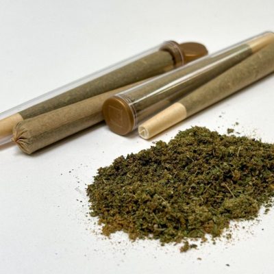 GELATO-GREENHOUSE-768x733